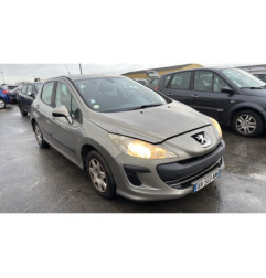 Cric PEUGEOT 308 1