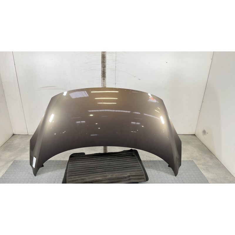 Capot RENAULT SCENIC 3 Photo n°1