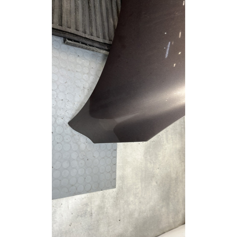 Capot RENAULT SCENIC 3 Photo n°5