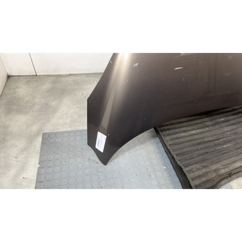 Capot RENAULT SCENIC 3 Photo n°6