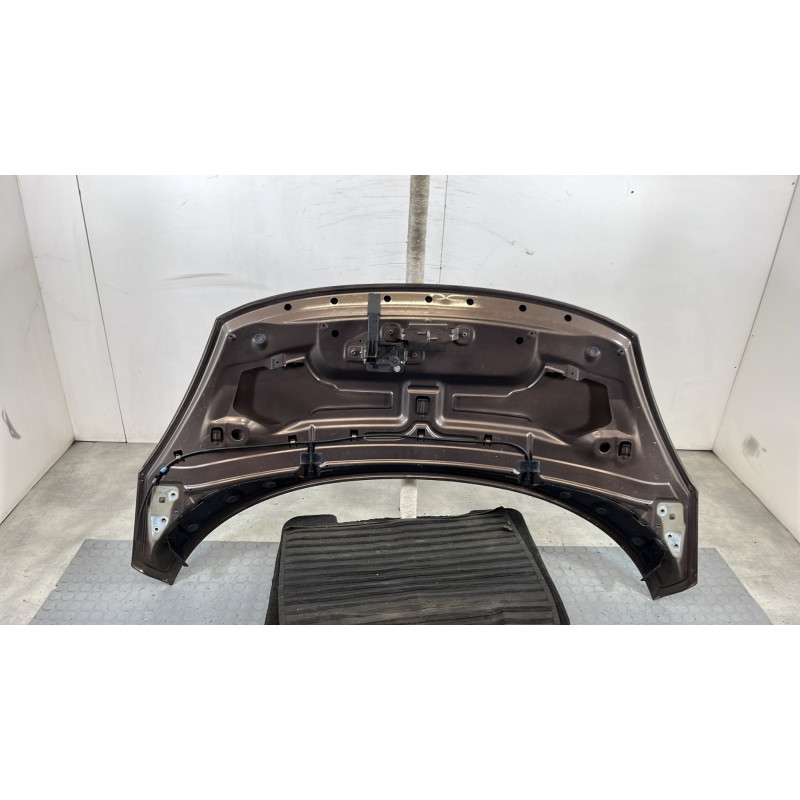 Capot RENAULT SCENIC 3 Photo n°10