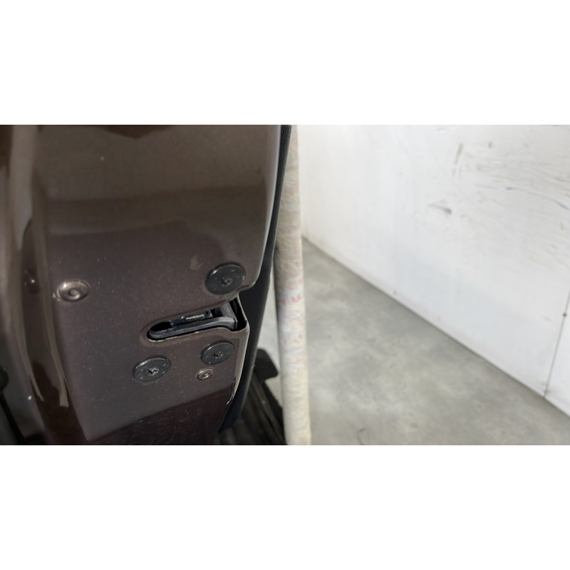 Porte arriere gauche RENAULT SCENIC 3 Photo n°6