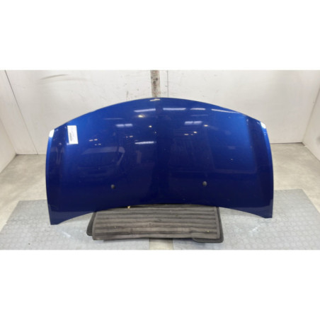 Capot RENAULT CLIO 3 Photo n°1