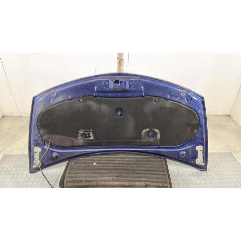Capot RENAULT CLIO 3 Photo n°6