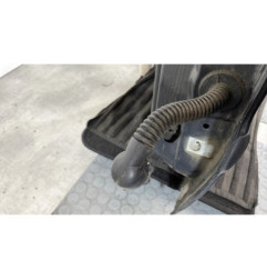 Porte arriere gauche PEUGEOT 206+