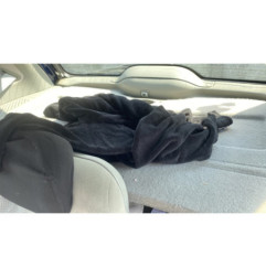 Aile avant droit RENAULT SCENIC 1