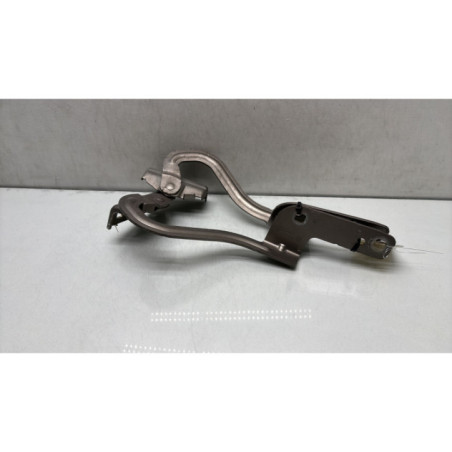 Charniere de capot RENAULT GRAND MODUS