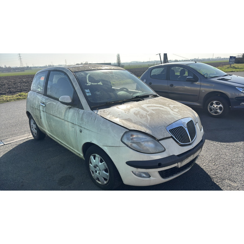 Calandre LANCIA YPSILON 4 Photo n°6