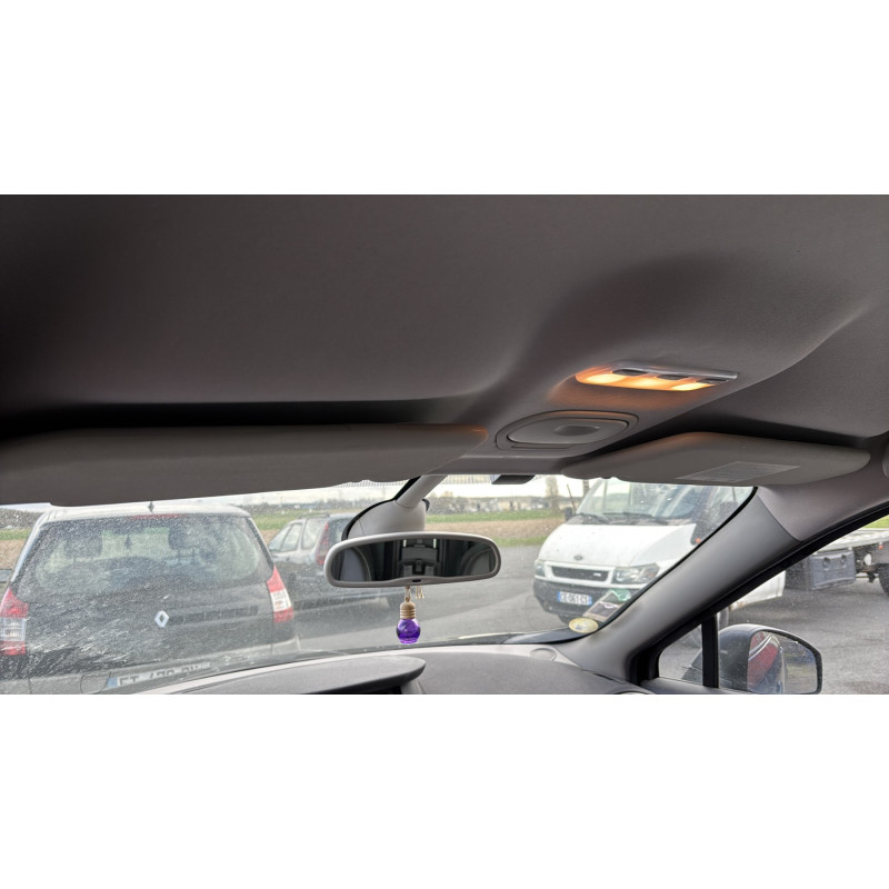 Bouton de coffre RENAULT SCENIC 3 Photo n°20