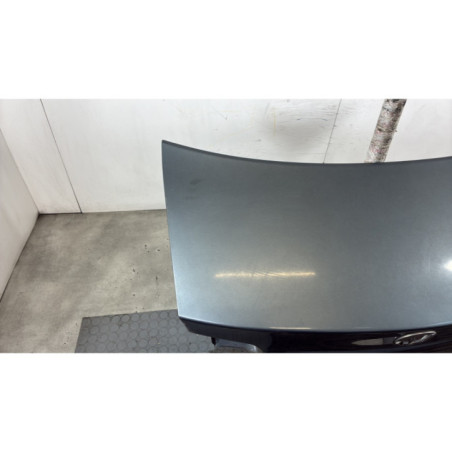 Malle/Hayon arriere VOLKSWAGEN JETTA 3