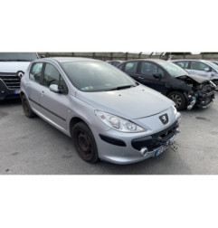 Vitre arriere gauche PEUGEOT 307
