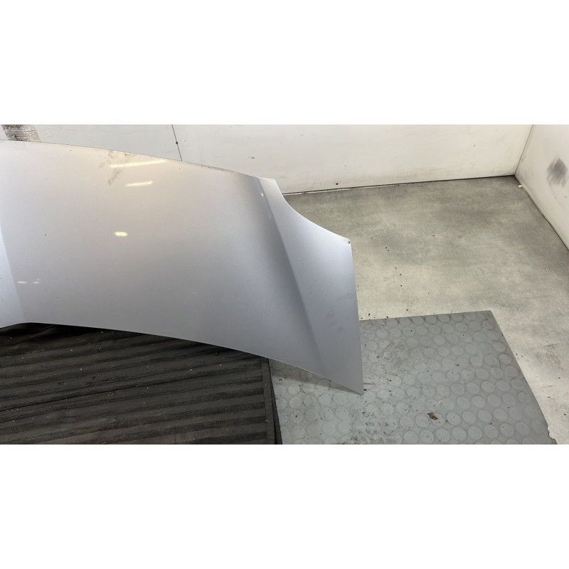 Capot RENAULT GRAND MODUS Photo n°3