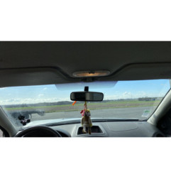 Vitre arriere droit RENAULT CLIO 3