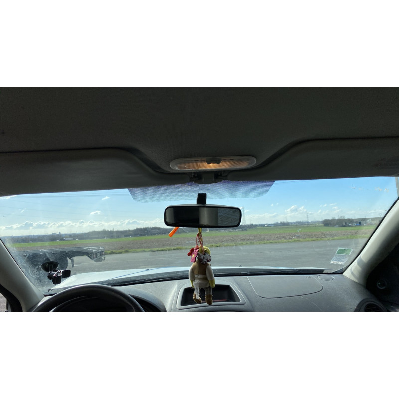 Vitre arriere droit RENAULT CLIO 3 Photo n°20