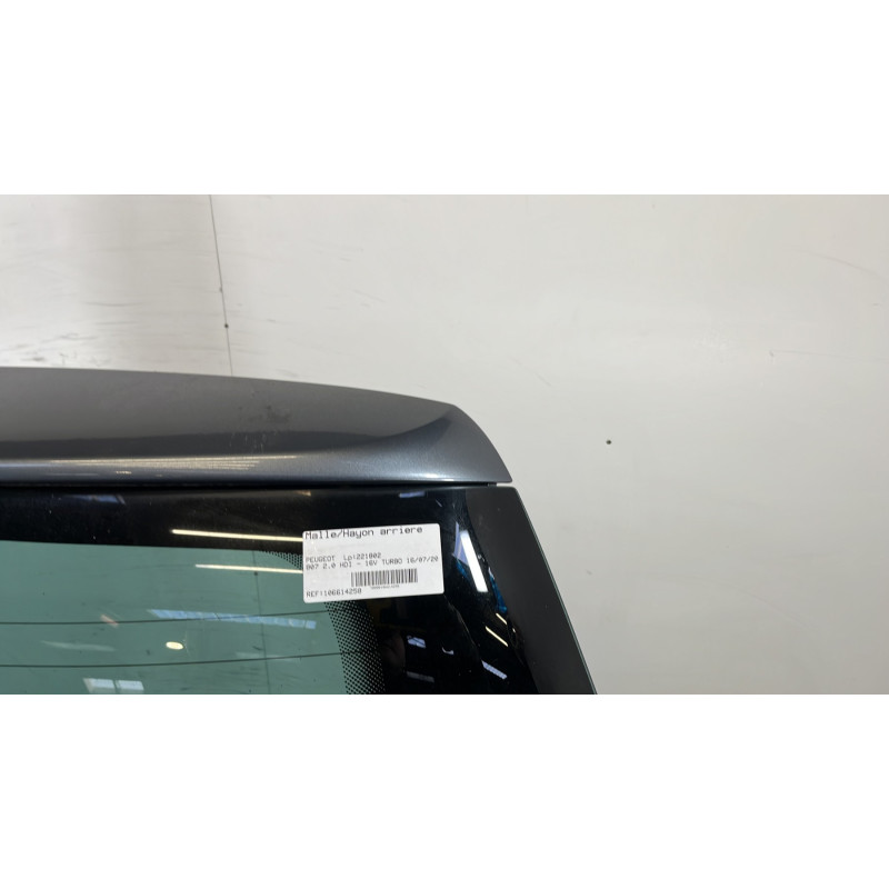 Malle/Hayon arriere PEUGEOT 807 Photo n°3
