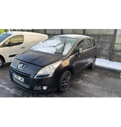 Custode arriere gauche PEUGEOT 5008 1