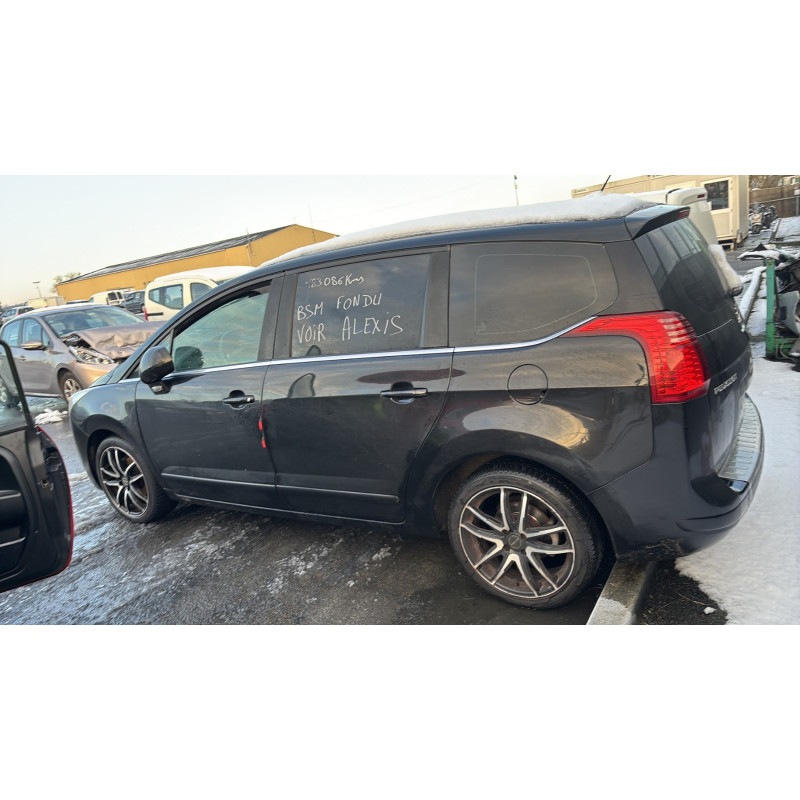 Custode arriere gauche PEUGEOT 5008 1 Photo n°11