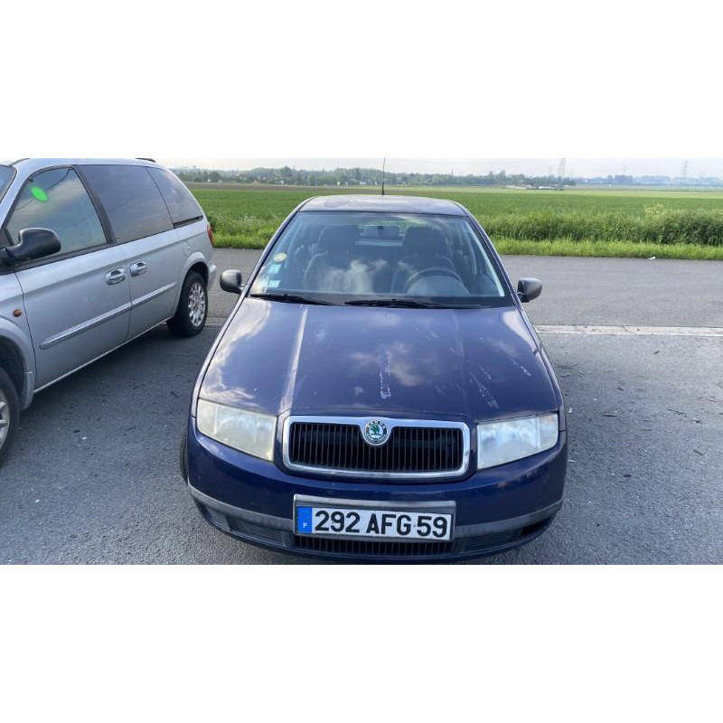 Porte avant droit SKODA FABIA 1 Photo n°12