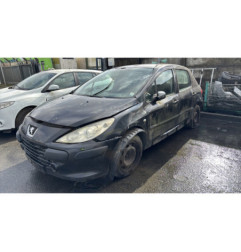 Debitmetre PEUGEOT 307