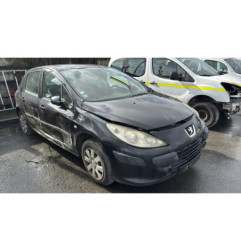 Debitmetre PEUGEOT 307