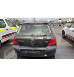 Debitmetre PEUGEOT 307