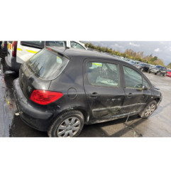 Debitmetre PEUGEOT 307