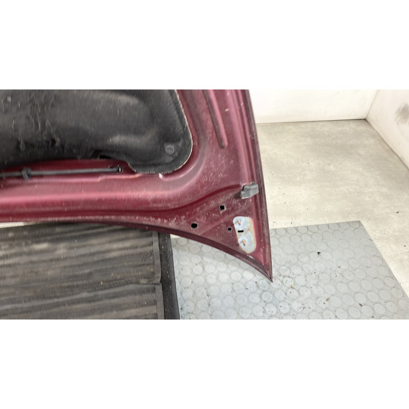Capot CITROEN C3 PLURIEL Photo n°9