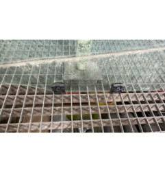 Vitre arriere gauche PEUGEOT 308 2