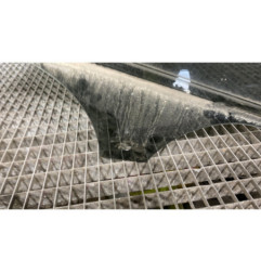 Vitre arriere droit FORD FOCUS 3