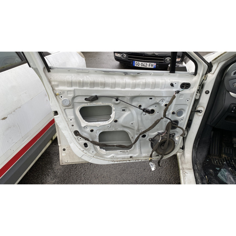 Arret de porte avant gauche RENAULT SCENIC 3 Photo n°13