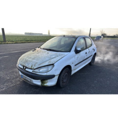 Porte avant droit PEUGEOT 206