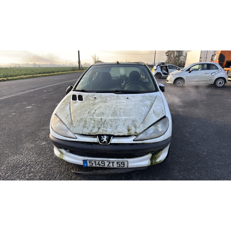Porte avant droit PEUGEOT 206 Photo n°13