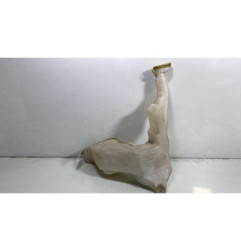 Vase de lave glace RENAULT MASTER 2 Photo n°1