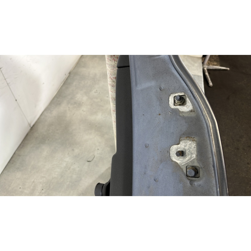 Porte arriere gauche RENAULT CLIO 3 Photo n°3