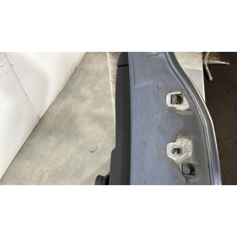 Porte arriere gauche RENAULT CLIO 3 Photo n°4