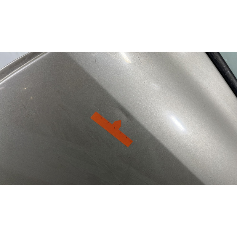 Porte arriere gauche RENAULT CLIO 3 Photo n°3