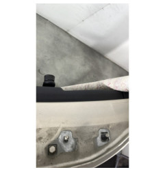Porte arriere gauche RENAULT CLIO 3