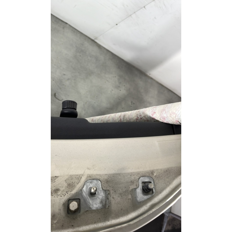 Porte arriere gauche RENAULT CLIO 3 Photo n°4