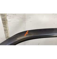 Porte avant gauche RENAULT CLIO 2