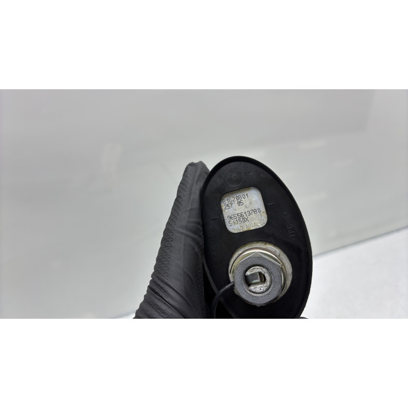 Antenne CITROEN C4 1 Photo n°3