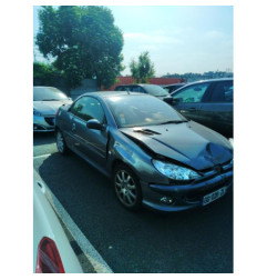 Cremaillere assistee PEUGEOT 206
