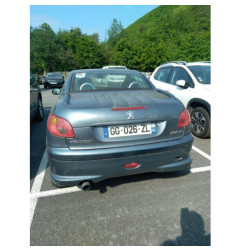 Cremaillere assistee PEUGEOT 206