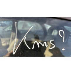 Optique avant principal gauche (feux)(phare) CITROEN XSARA PICASSO