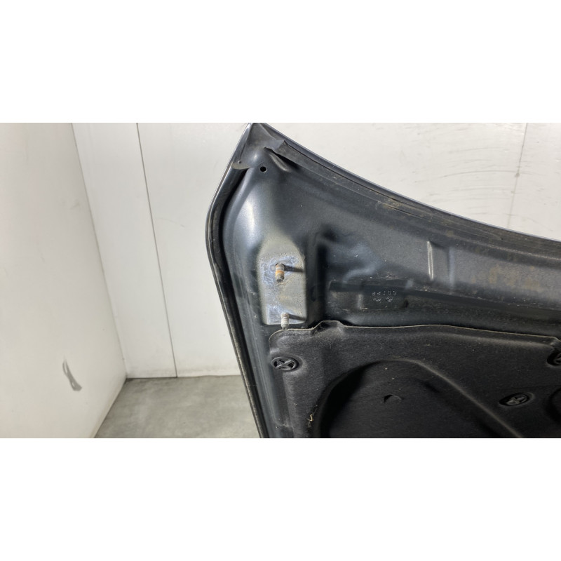Capot RENAULT KOLEOS 1 Photo n°6