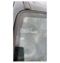 Porte avant droit RENAULT SCENIC 1
