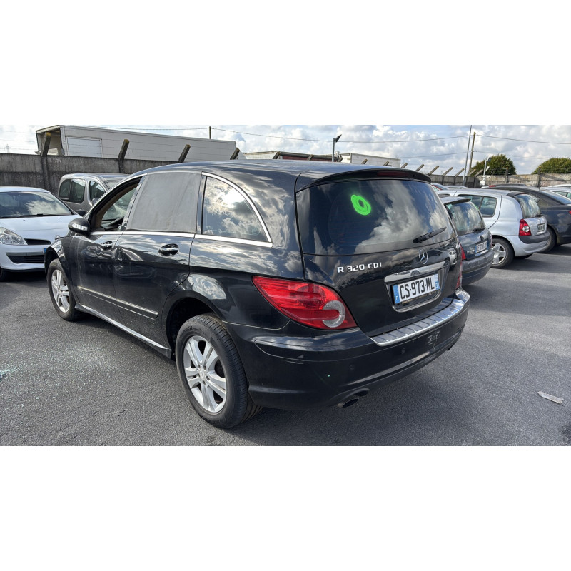 Custode arriere gauche MERCEDES CLASSE R 251 Photo n°8