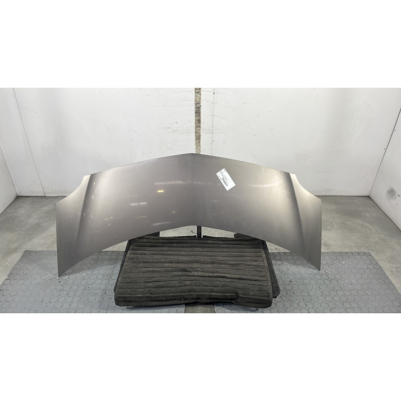Capot RENAULT GRAND MODUS Photo n°1