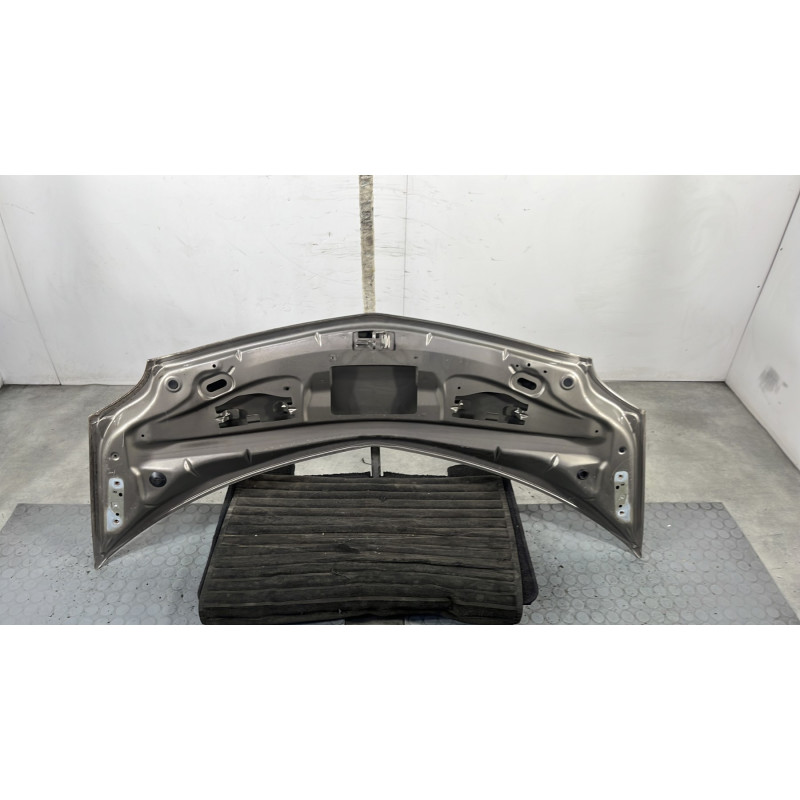Capot RENAULT GRAND MODUS Photo n°7