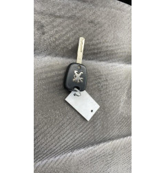 Boitier BSI PEUGEOT 307