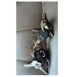 Neiman CITROEN C25